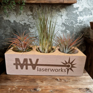 Natuurlijke Creaties: Jouw Unieke Houten Plantenbakje