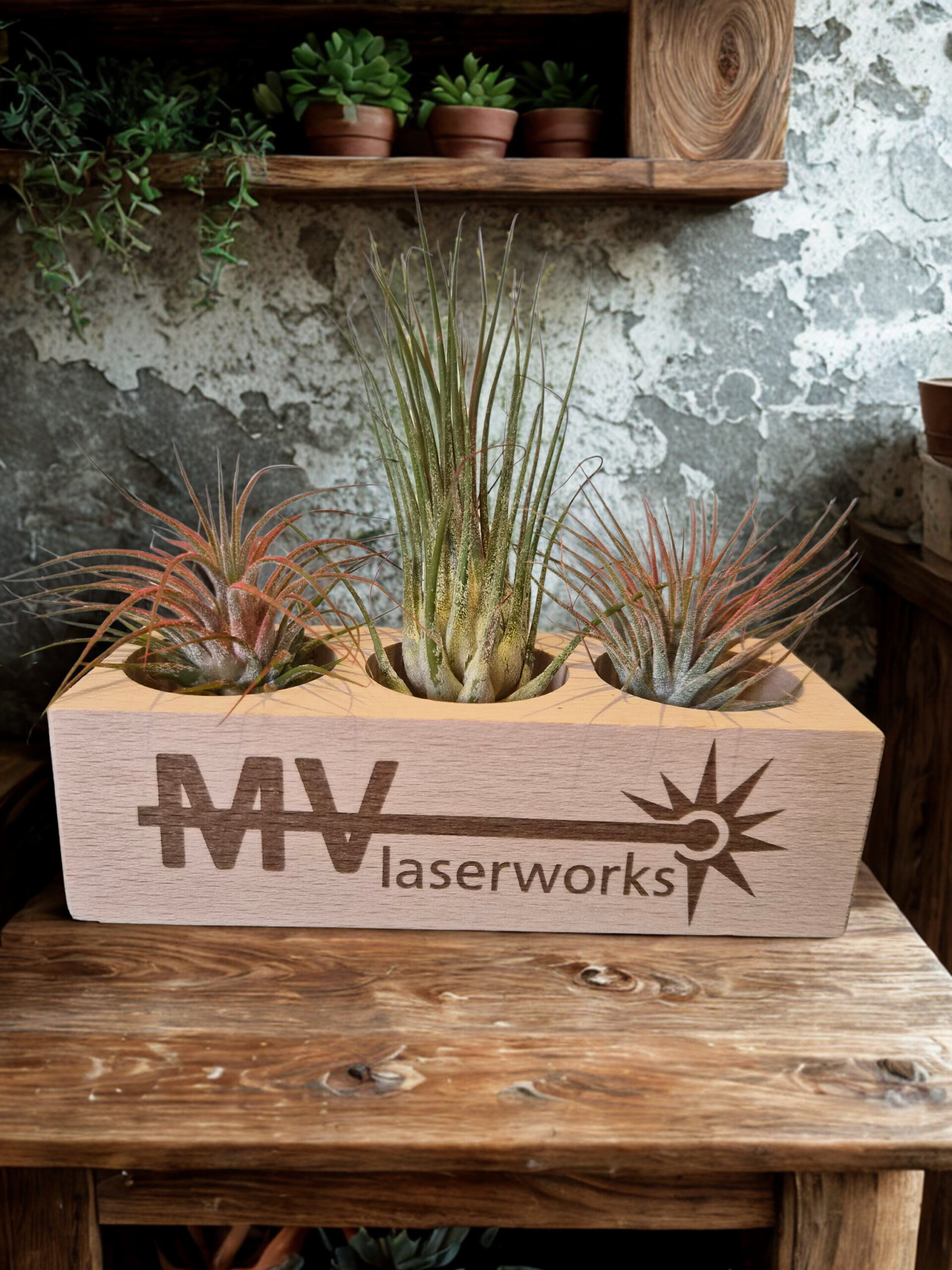 Natuurlijke Creaties: Jouw Unieke Houten Plantenbakje