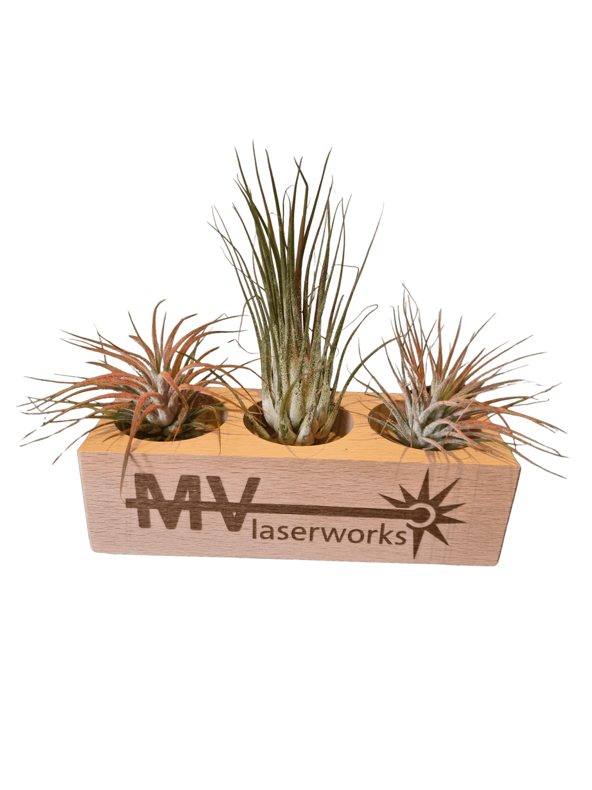 Natuurlijke Creaties: Jouw Unieke Houten Plantenbakje - Afbeelding 2